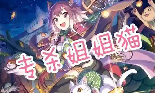 姐姐猫阵容