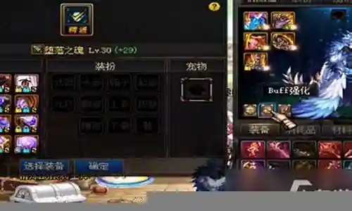 女圣者士buff技能