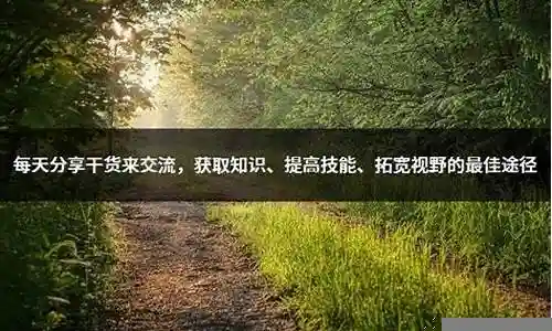 提高技能的途径