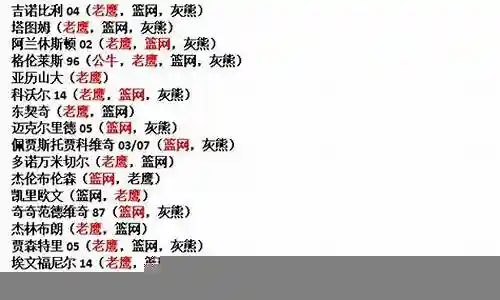 95公牛阵容