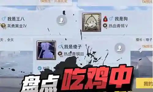 吃鸡奇葩阵容搭配表