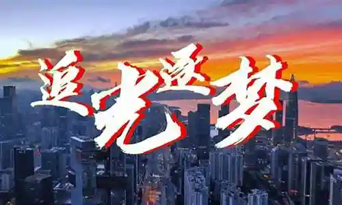 追光逐梦搭配阵容