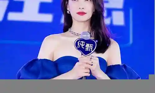 宋茜粉丝阵容搭配图
