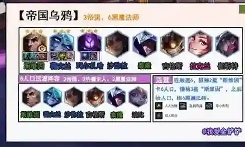 金6福阵容
