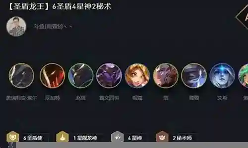 云顶之弈圣盾龙王阵容装备
