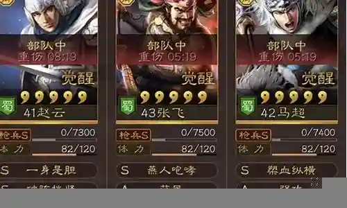 赵云张飞双刷阵容搭配