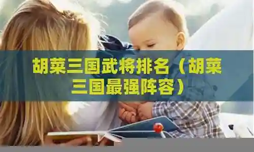 胡菜三国2最强阵容