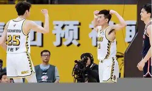 浙江广厦阵容