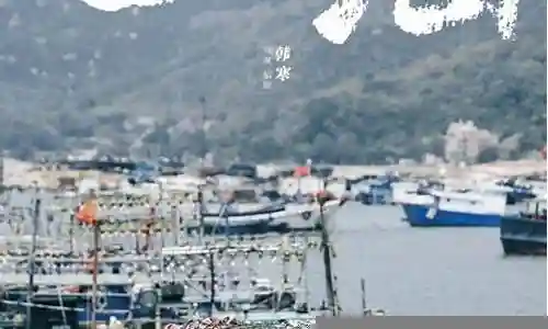 四海道阵容