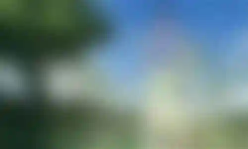 海贼王3技能怎么获得