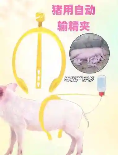 养猪号带什么装备插图1