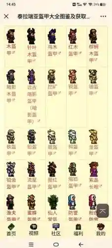 泰拉瑞亚装备展示插图