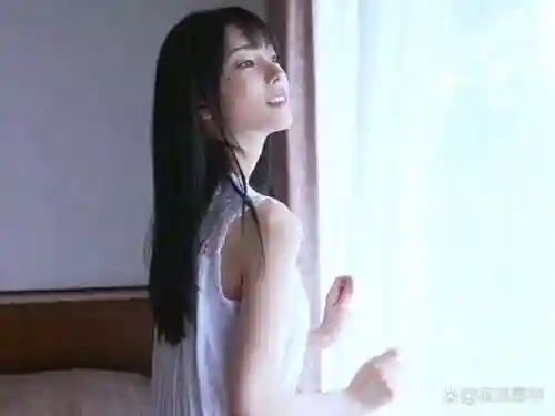 枫可怜阵容插图1