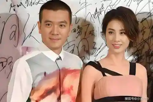 杨子阵容插图1
