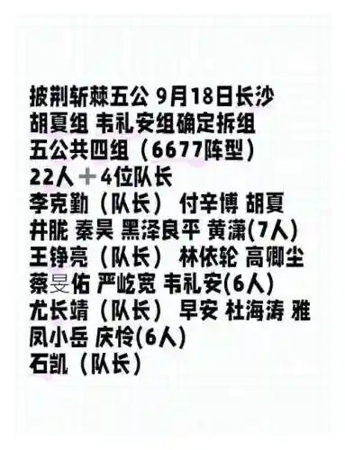 5公阵容插图1