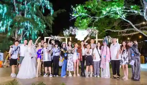 妻子5阵容
