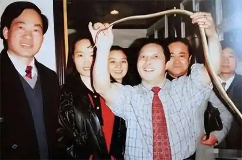 王林阵容插图