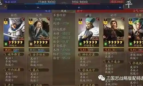 赵云满宠三势阵容搭配