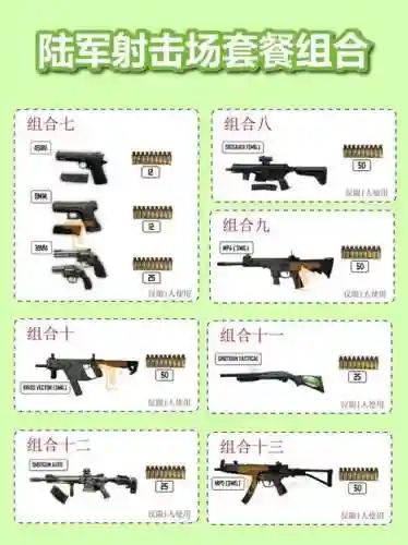 85ss弹药武器排行插图
