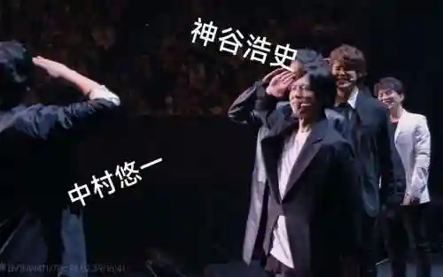 mamoo阵容插图