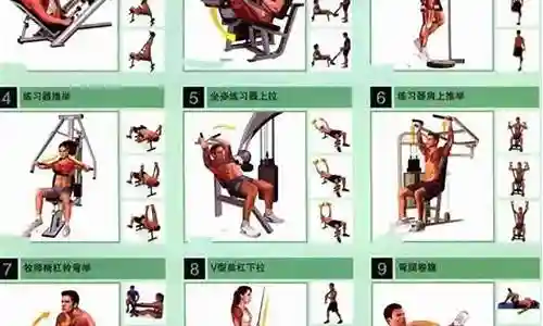 健身房攻略方法大全