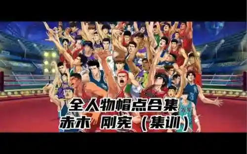 集训赤木阵容插图