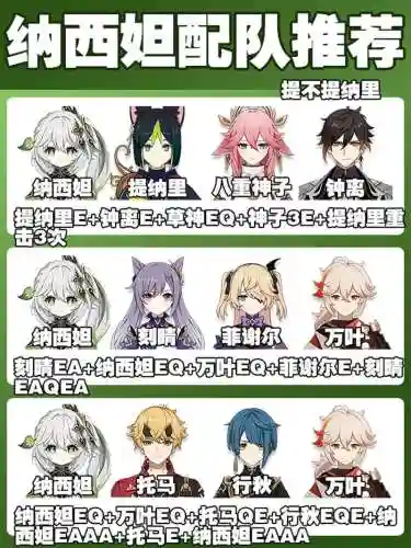 小提阵容推荐
