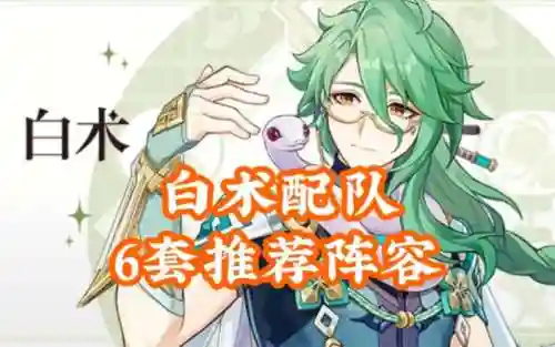 白术顶级阵容插图1