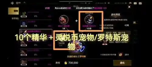 2019dnf怎么获得宠物装备插图1
