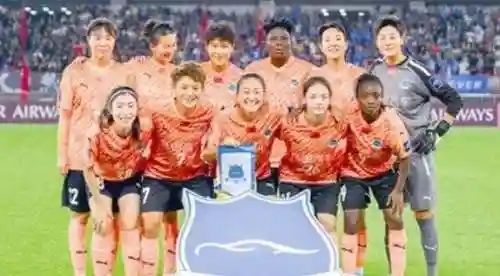 武汉女足阵容