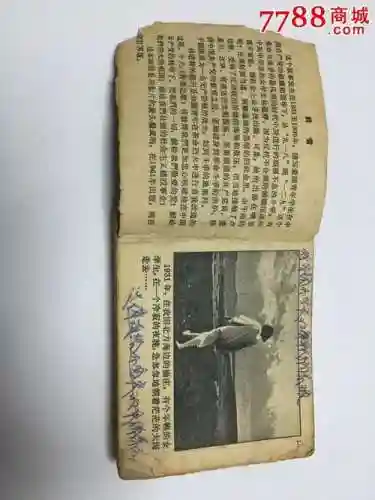 砖头做武器的青春小说插图1