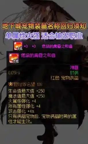 2019dnf怎么获得宠物装备