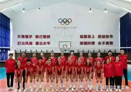 云南女排阵容