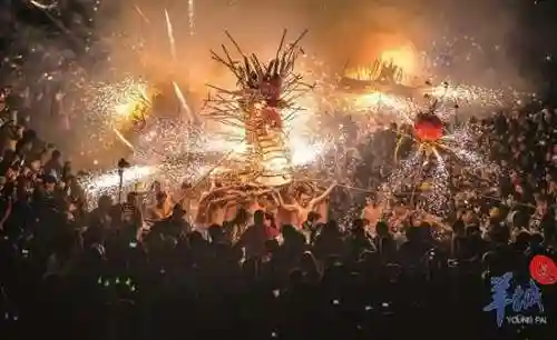 烟火龙阵容插图