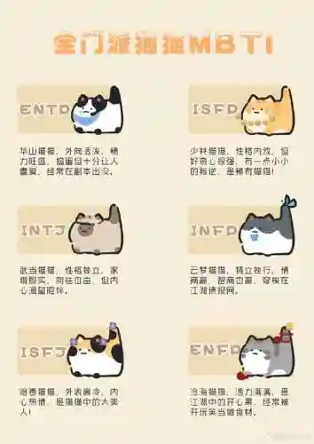 大小猫阵容_1插图1