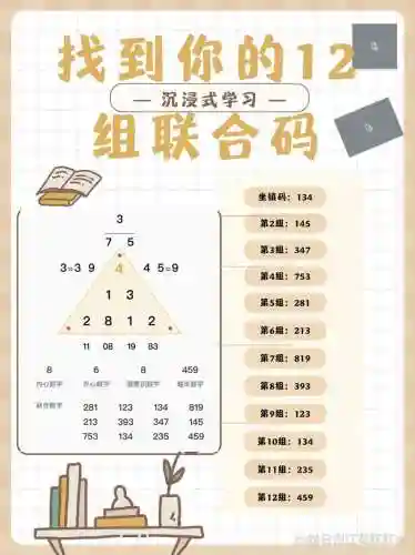 数位码阵容插图1