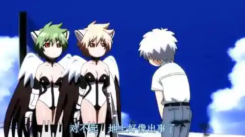哈比阵容插图1