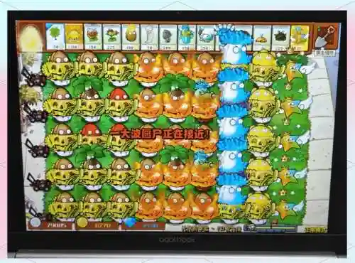2.03最强阵容_1插图1