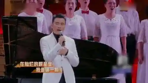 柳云龙阵容搭配