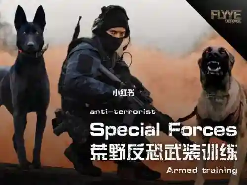 specialforces游戏攻略插图1