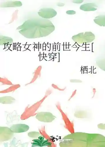 攻略女神的前世今生