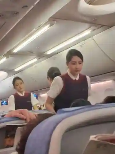 机场空姐阵容_1插图
