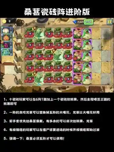 pvb阵容推荐_1插图1