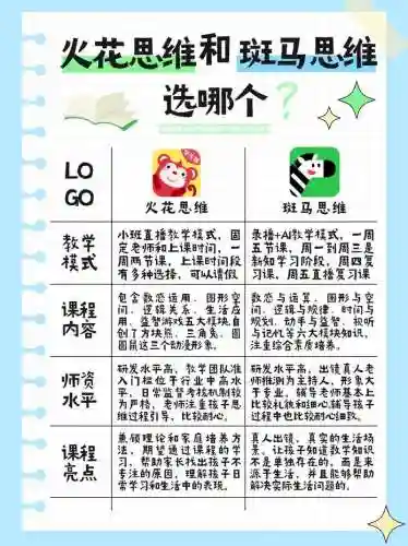 思维火花阵容插图1