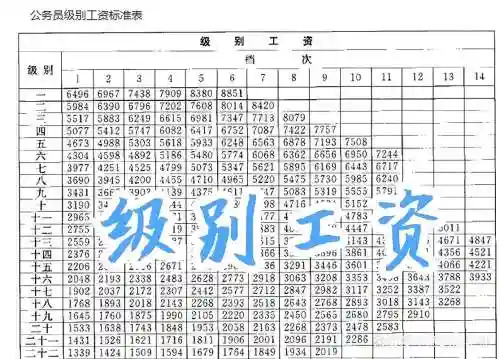 255工资阵容插图1