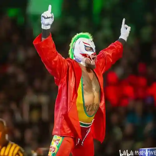 wweimmortals四星装备插图1