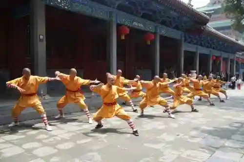 中国武林阵容插图