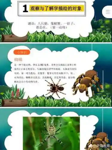 雾夜下的蜘蛛攻略