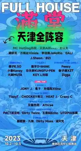 音乐阵容搭配插图1