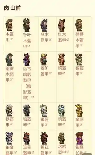 泰拉瑞亚月总战士需要的装备插图